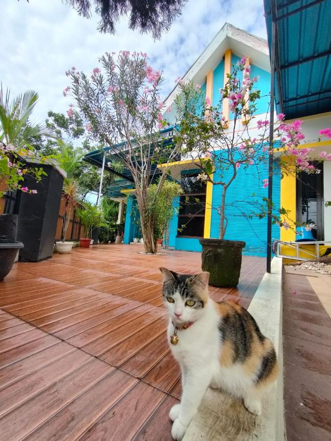 Omah Mendut Homestay Banyuwangi  Exterior photo
